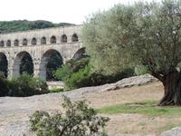 45 die Pont du Gard