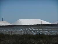 Aigues Mortes. Saline