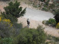 010. Eberhardt Reisegäste bei Mornas