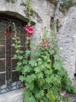 054. Moustiers Sainte Marie