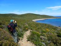 Blick auf die Bucht von Tamarone