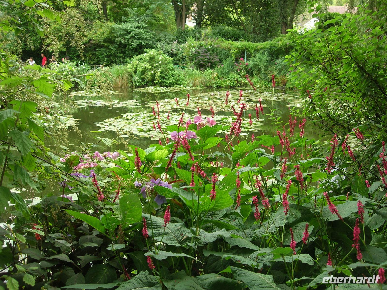 Fondation Claude Monet Wassergarten
