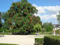 Rouen  Jardin des Plantes