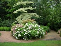 Cambremer Jardins du Pays d'Auge