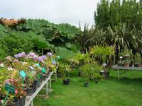 Jardin Botanique de Vauville