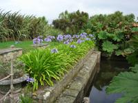 Jardin Botanique de Vauville