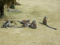 Parc Paysager et Zoologique de Champrépus