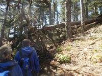 Wanderung am Col de Bavella