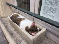 IMG_7215Mittagsschlaf