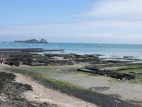 Cancale - Austernbänke in Bucht