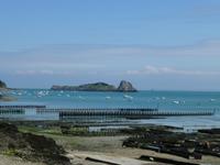 Cancale - Bucht mit Austernbänken