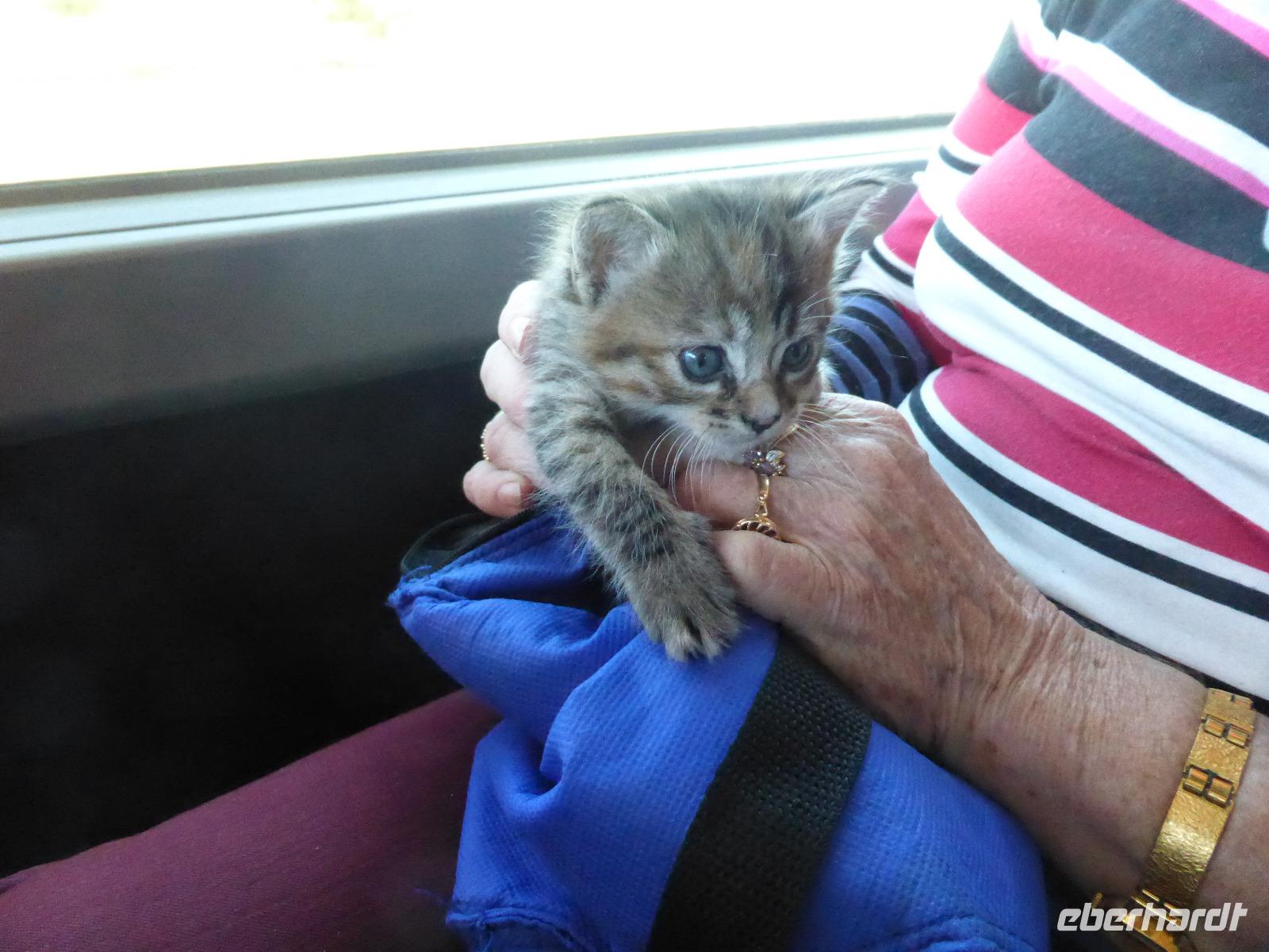 Paris Eberhardt - noch ungewohnt die neue Umgebung!