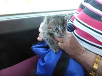 Paris Eberhardt - noch ungewohnt die neue Umgebung!