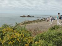 Jersey - Leuchtturm an der Westküste