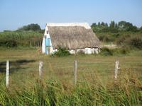 Camargue. Cabane 