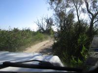 Camargue. Weg zum Etang des Vaccares