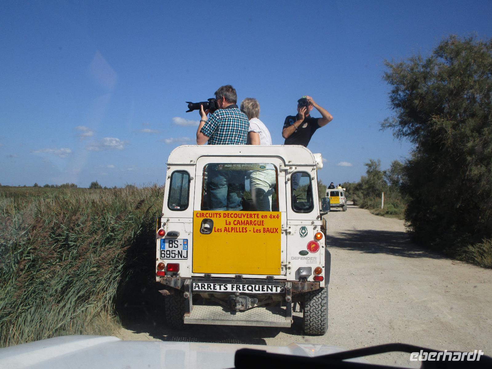 Camargue: Foto-Safari