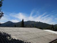 054 Beim Kastanienbauern