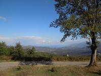 099 Saint Michel de Murato