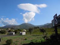 102 Weingut Patrimonio