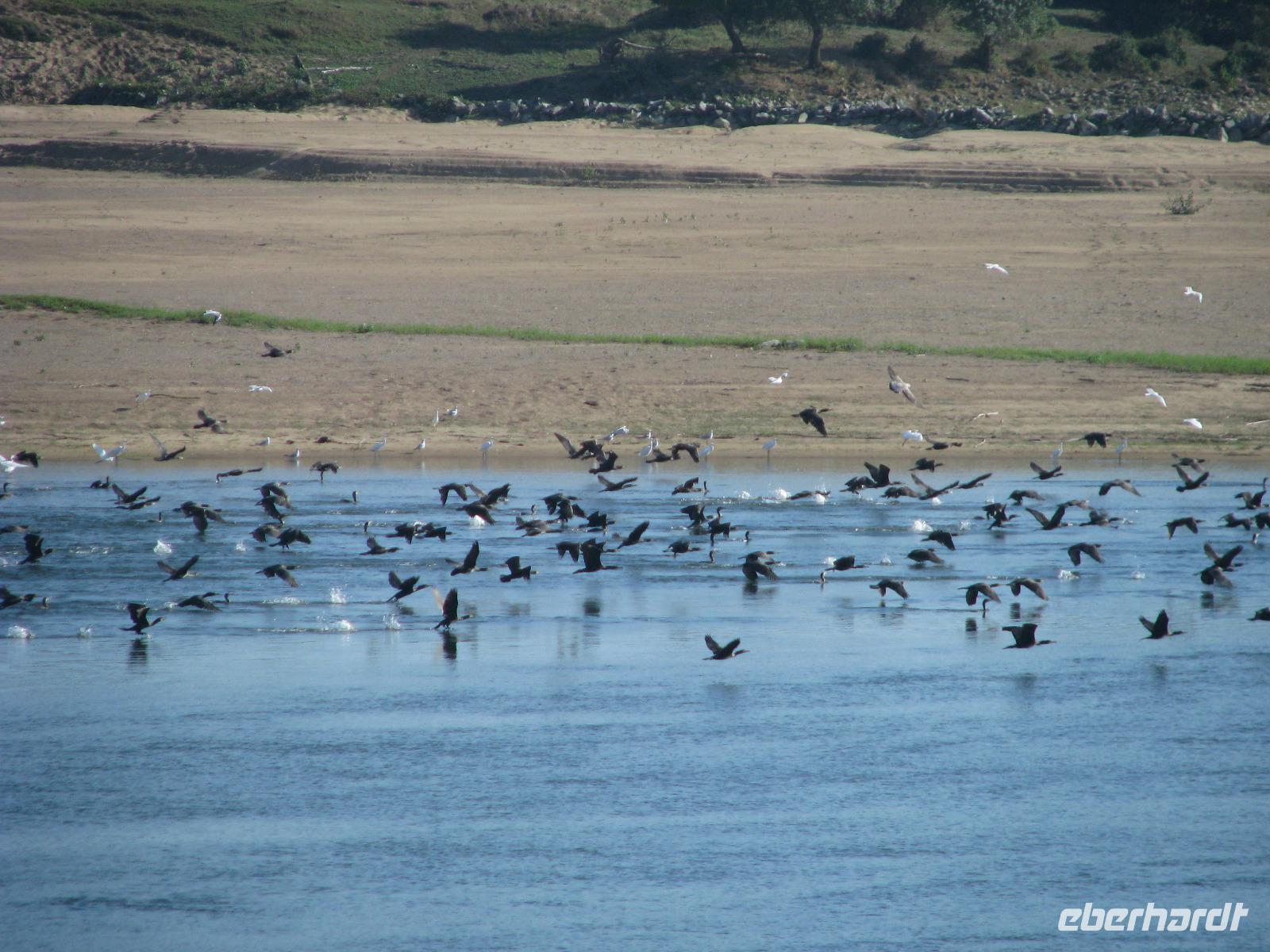 Vogelparadies Loiretal