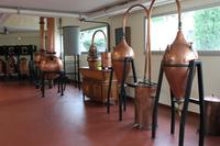 Parfumerie Galimard in Grasse