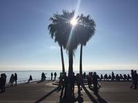 Neujahrsmorgen an der Promenade des Anglais