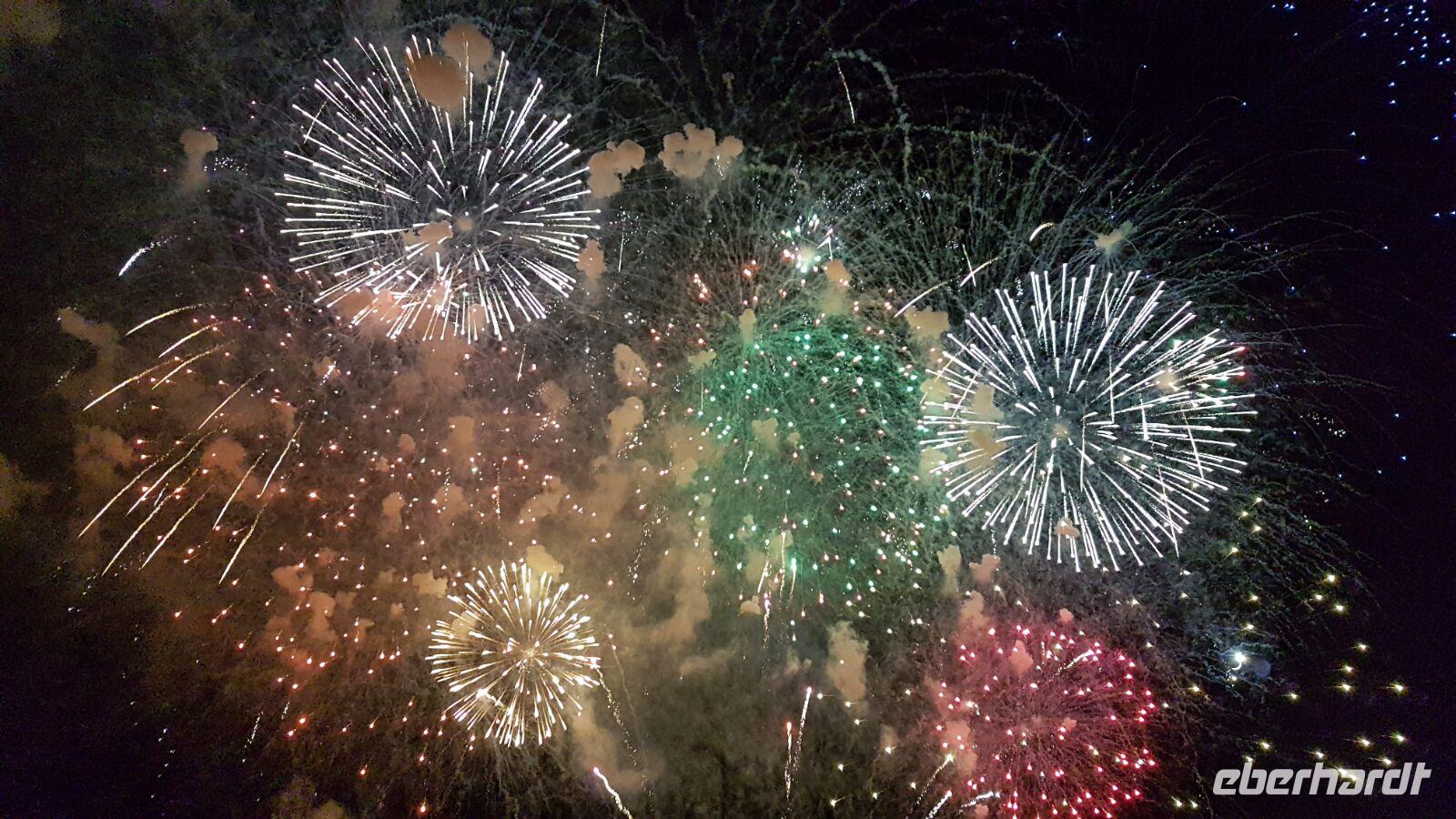 Silvester in Nizza - Perlen der Cote d' Azur (570)