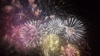 Silvester in Nizza - Perlen der Cote d' Azur (573)