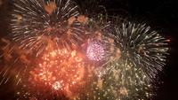 Silvester in Nizza - Perlen der Cote d' Azur (578)