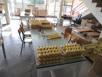 294-Besuch der Parfümerie in Eze