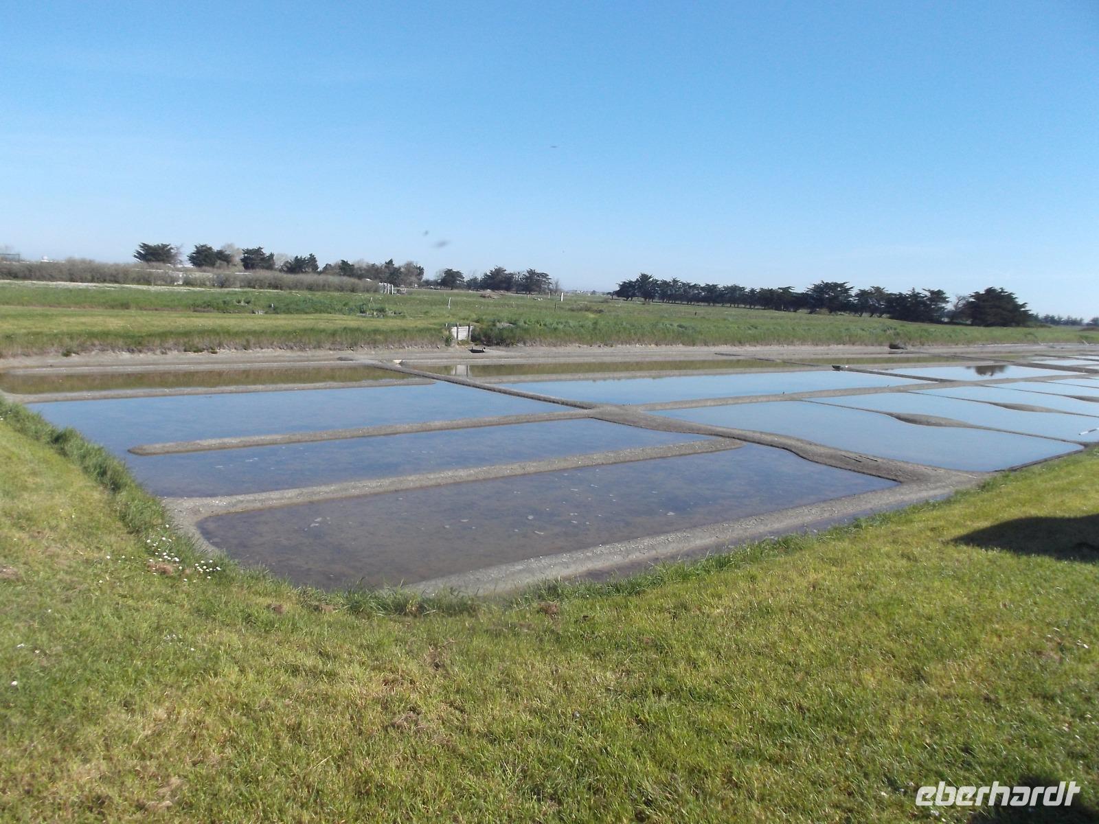Salzgarten, Ile de Noirmoutier
