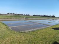Salzgarten, Ile de Noirmoutier