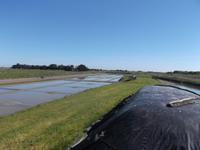 Salzgarten, Ile de Noirmoutier
