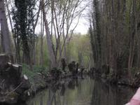 im Marais Poitevin