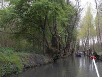 im Marais Poitevin