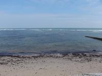 Fisch-Schleusen in Les Baleines an der Spitze der Ile de Re