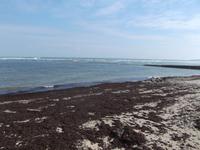 Fisch-Schleusen in Les Baleines an der Spitze der Ile de Re