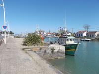 Hafen von Boyardville auf der Ile d'Oleron