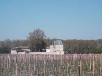 Weingut im  Medoc