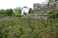 Entdeckungen am Montmartre