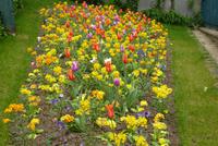 Entdeckungen am Montmartre