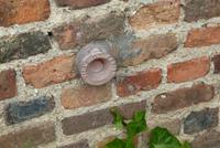 Entdeckungen am Montmartre