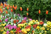 Entdeckungen am Montmartre