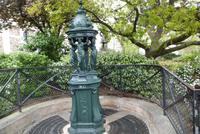 Entdeckungen am Montmartre