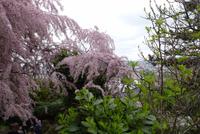 Entdeckungen am Montmartre