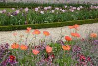 Jardin de Luxembourg