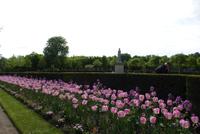 Jardin de Luxembourg