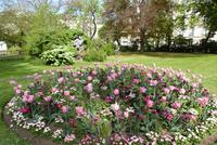 Jardin de Luxembourg