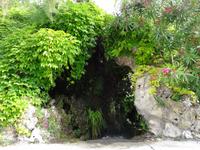 Avignon bei Nacht - im Park des Palastes